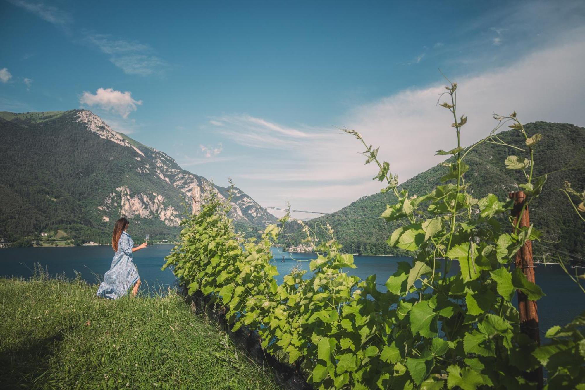 B&B Ca' Serena Wine Retreat LEDRO Eksteriør bilde